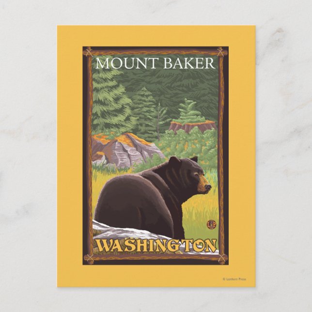 Postal Oso Negro en el bosque - Monte Baker, Washington (Anverso)