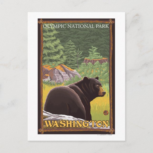 Postal Oso Negro en el bosque - Parque Olímpico Nat'l, WA (Anverso)