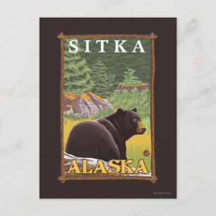Postal Oso Negro en el bosque - Sitka, Alaska