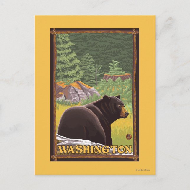 Postal Oso Negro en el bosque - Washington (Anverso)