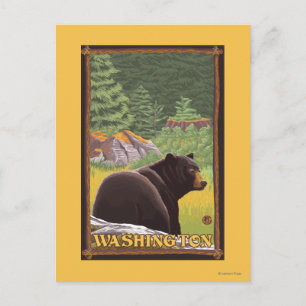 Postal Oso Negro en el bosque - Washington