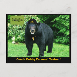 Postal Oso Negro - "¡Entrenador personal entrenador Cubby