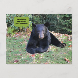 Postal Oso Negro - "Estoy corrigiendo silenciosamente tu