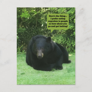 Postal Oso Negro - "Pastel de Cubby"