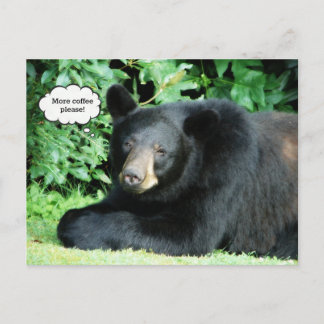 Postal Oso Negro - "Por favor, más café para los pepinos"