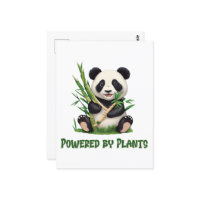 Oso Panda alimentado por plantas