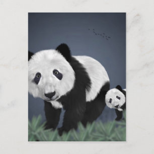 Postal oso panda lindo adorable animal negro blanco dulce