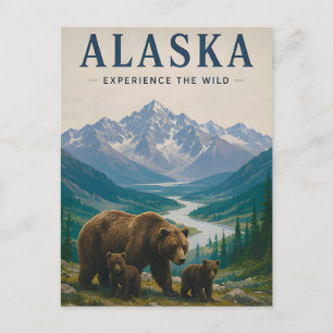 Postal 🐻 Oso Pardo de Alaska Montaña Salvaje 🏔️