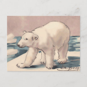 Postal Oso polar