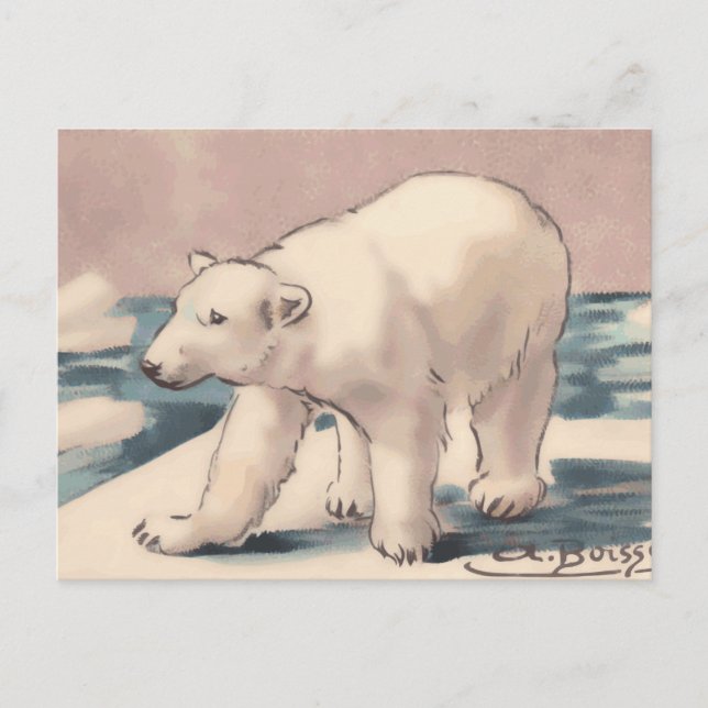 Postal Oso polar (Anverso)