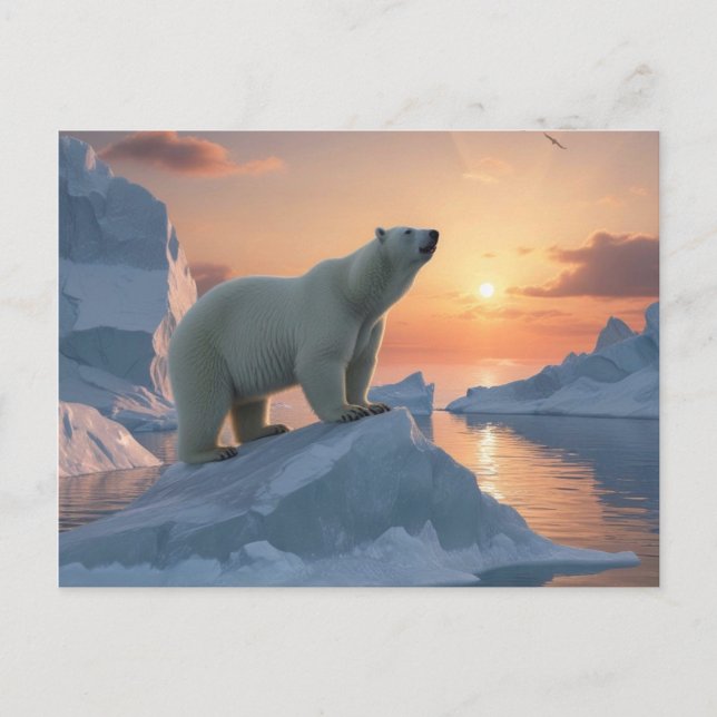 Postal Oso polar (Anverso)