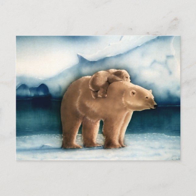 Postal Oso polar (Anverso)