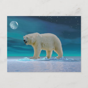 Postal Oso Polar a la luz de la luna