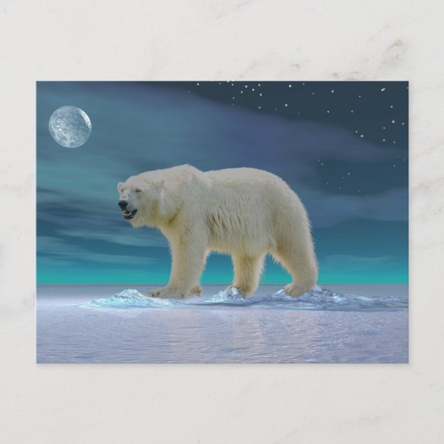Postal Oso Polar a la luz de la luna (Anverso)