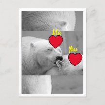 Oso polar de amor rojo