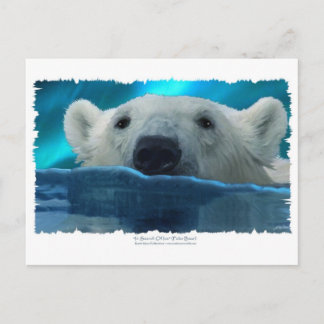 POSTAL OSO POLAR DE NADAR