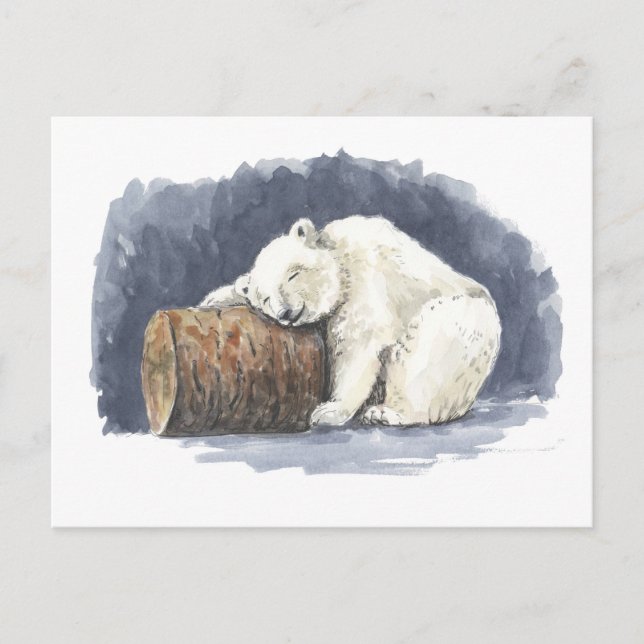Postal Oso polar durmiente, arte acuarela (Anverso)