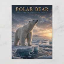 Oso Polar Hielo Marino Ártico ANIMALES