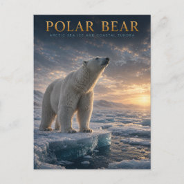 Postal Oso Polar Hielo Marino Ártico ANIMALES