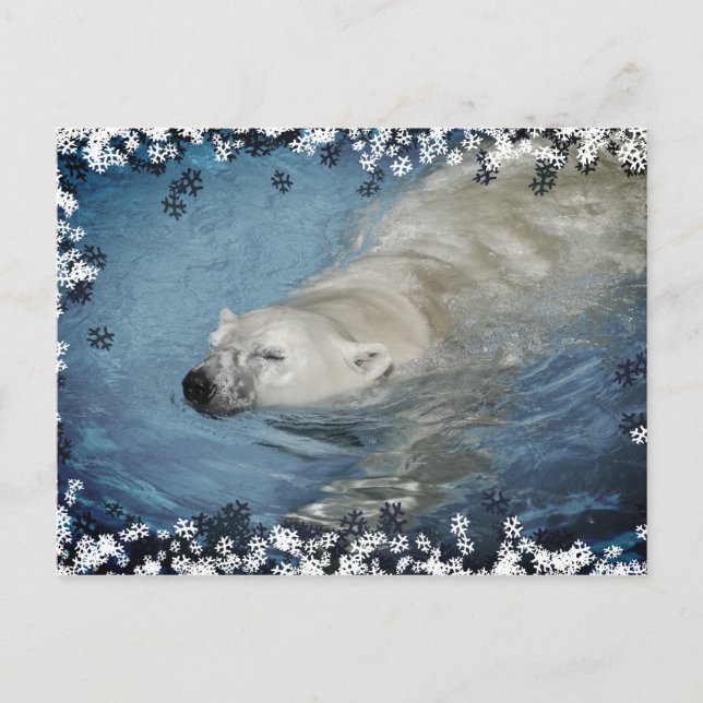 Postal Oso polar nadando (Anverso)