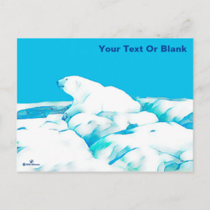 Postal Oso Polar Sobre El Hielo