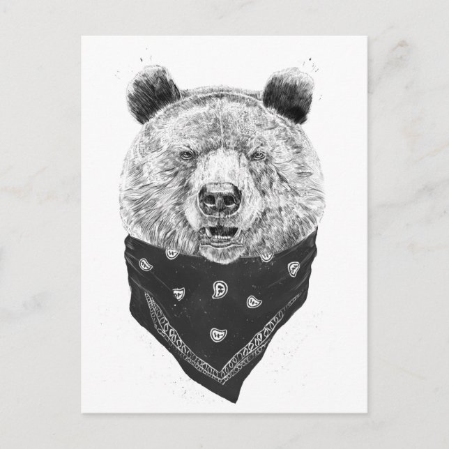 Postal Oso salvaje (Anverso)