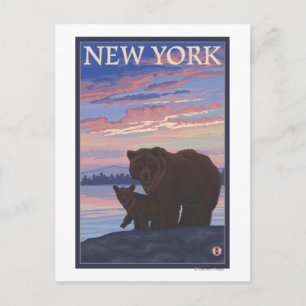 Postal Oso y cubo de Nueva York