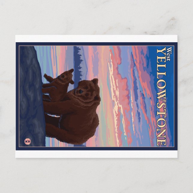 Postal Oso y cubo - Yellowstone occidental, Montana (Anverso)