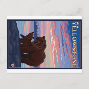 Postal Oso y cubo - Yellowstone occidental, Montana