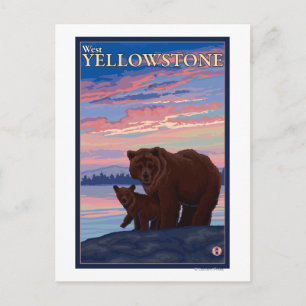 Postal Oso y cubo - Yellowstone occidental, Montana