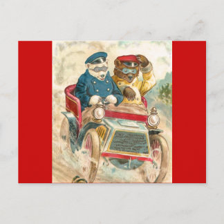 Postal Osos de Carreras