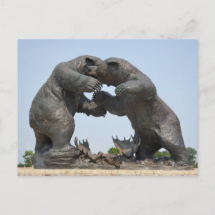 Postal Osos - Dundee, Michigan