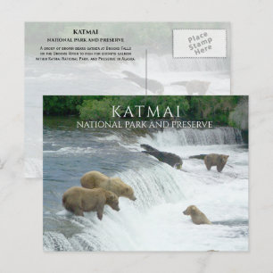 Postal Osos Marrones Brooks Caen Katmai NPP Alaska
