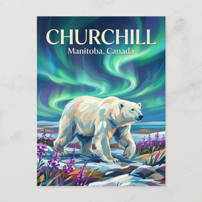 Postal Osos polares Churchill Canadá (Anverso)