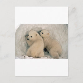 POSTAL OSOS POLARES DE DOS BEBÉS