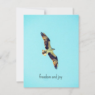 Postal Osprey art
