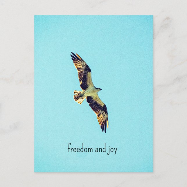 Postal Osprey art (Anverso)