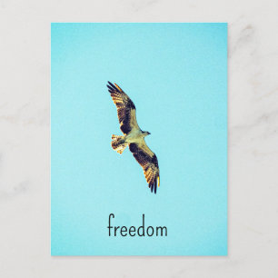 Postal Osprey art