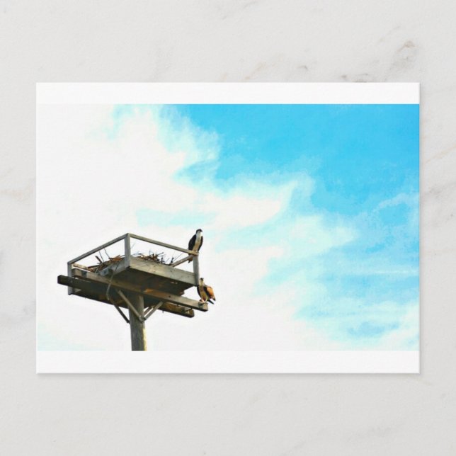 Postal Osprey Nest (Anverso)
