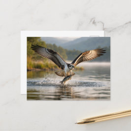 Postal Osprey Scottish Highlands Misty Sunrise Fishing