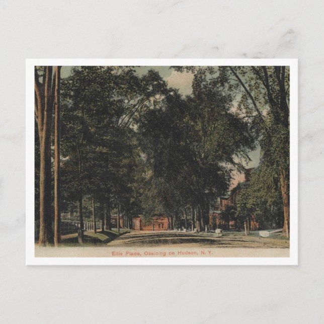 Postal Ossining on the Hudson, Ellis Place View, 1907 (Anverso)