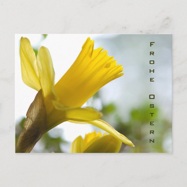 Postal Oster-Postkarte (Anverso)