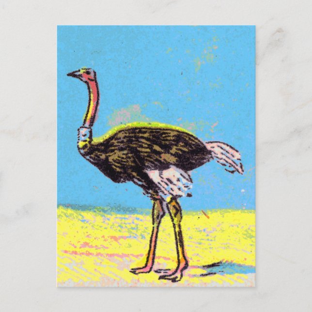 Postal Ostrich (Anverso)