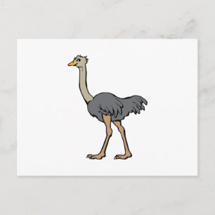 Postal Ostrich