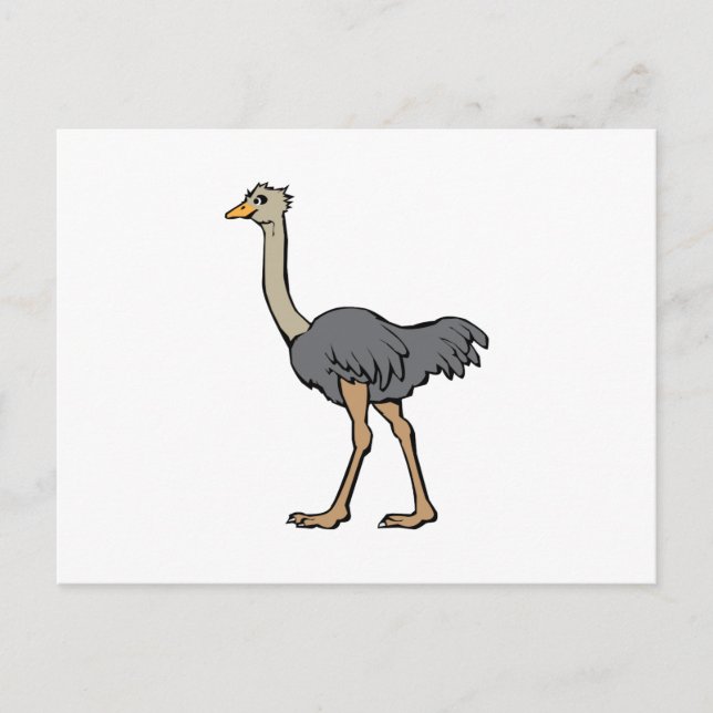 Postal Ostrich (Anverso)