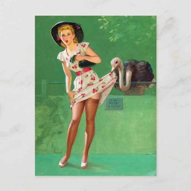Postal Ostrich Pin Up (Anverso)
