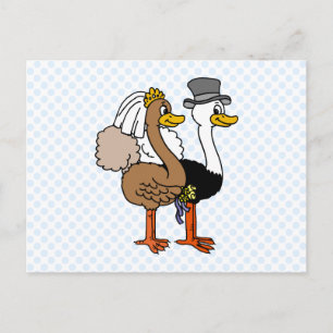 Postal Ostrichs casado