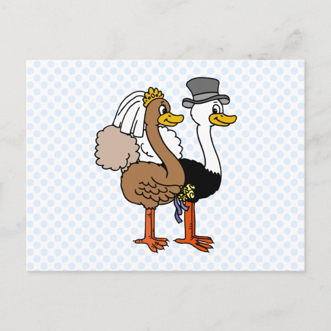 Postal Ostrichs casado (Anverso)