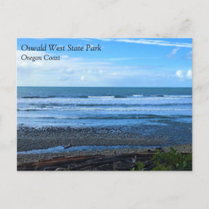 Postal Oswald West State Park, Oregon Postcard