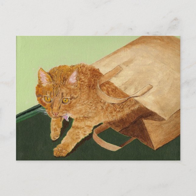 Postal Otis el gato (Anverso)